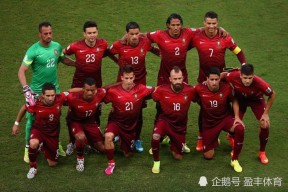 华体会hth-欧洲国家联赛：瑞典队实力突出，晋级梦想蓝图清晰的简单介绍